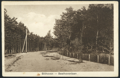 17111 Gezicht in de Beethovenlaan te Bilthoven (gemeente De Bilt).